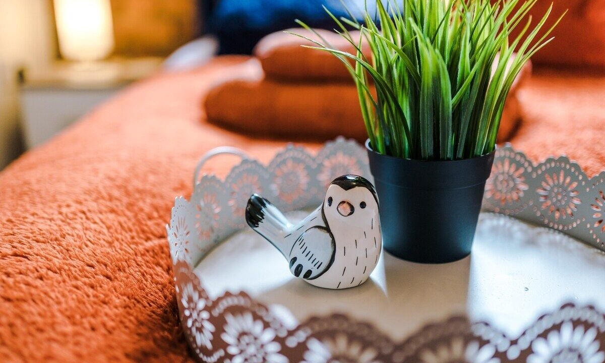 Photo of Others in RopeWalks