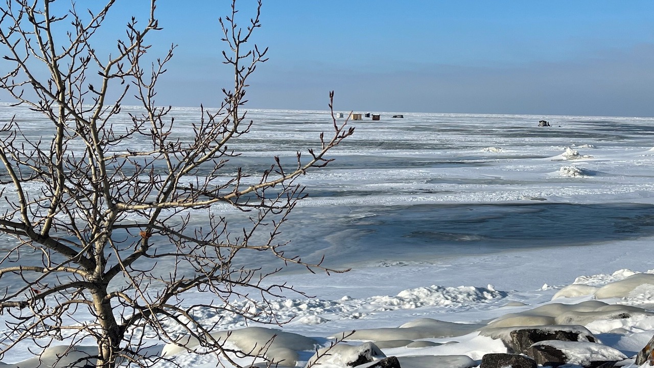 Photo of Others in Lester Beach