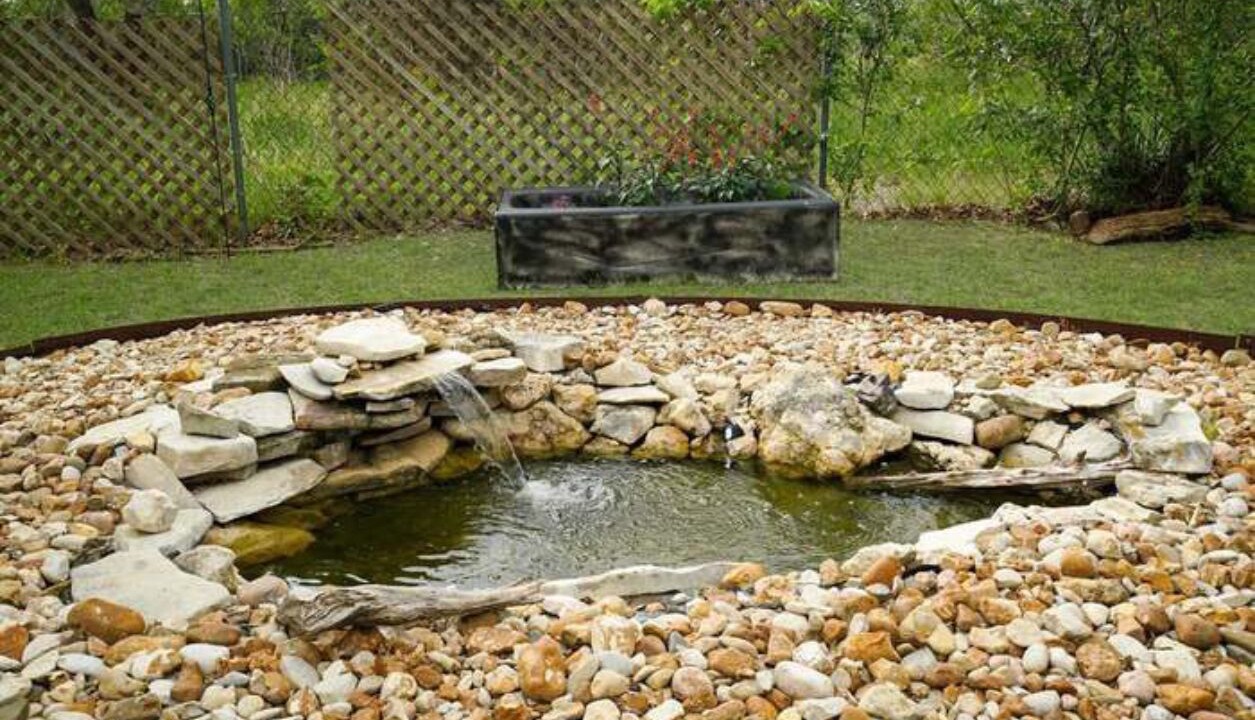 Photo of Outdoor in Blossoms Park