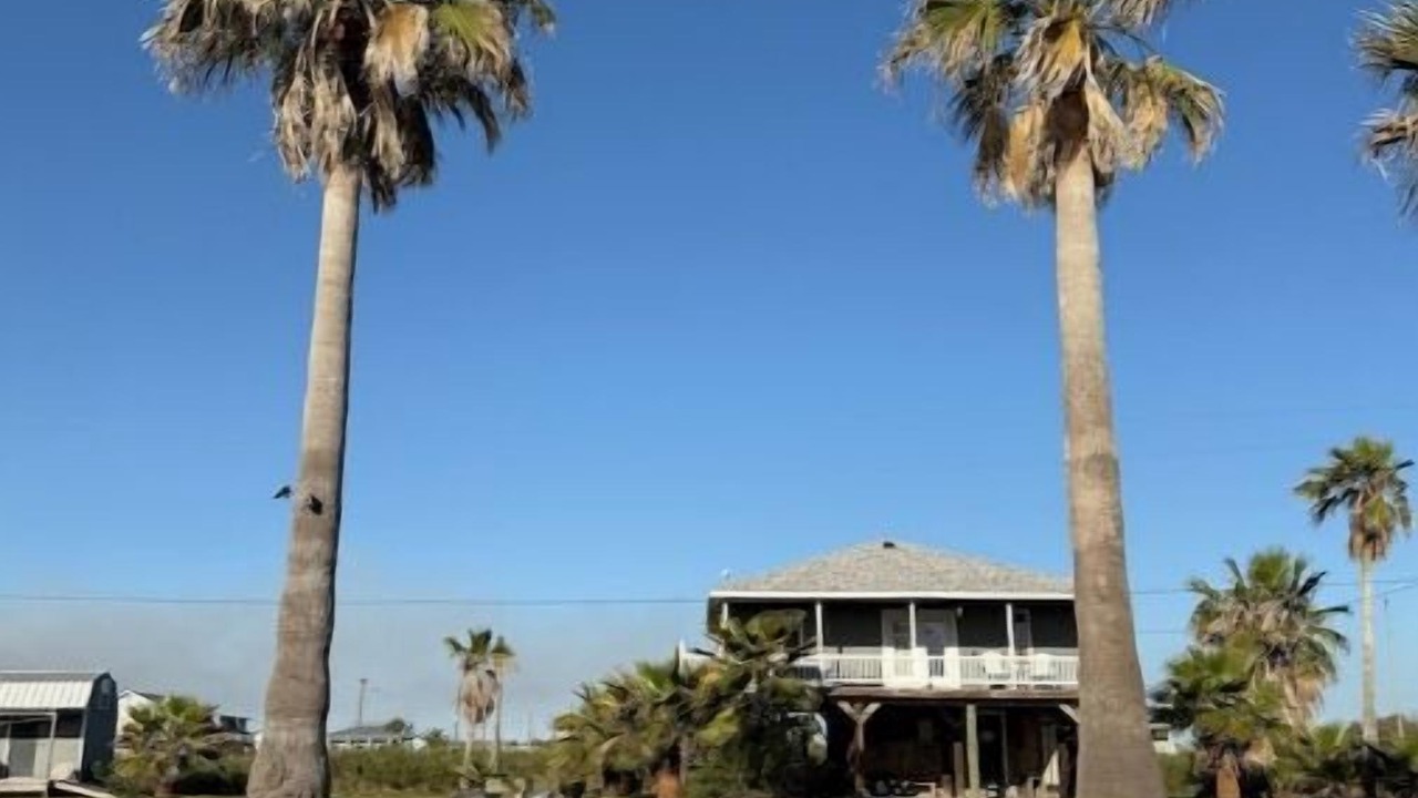 Photo of Outdoor in Crystal Beach