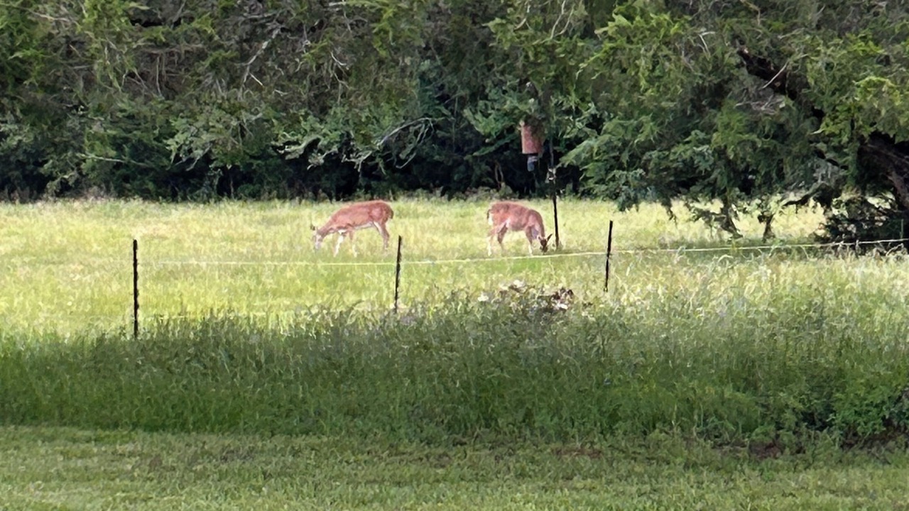 Photo of Others in Bryan