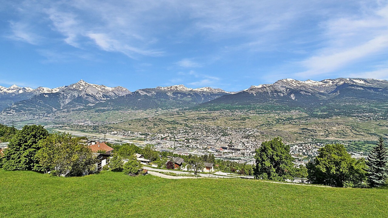 Photo of Others in Sion