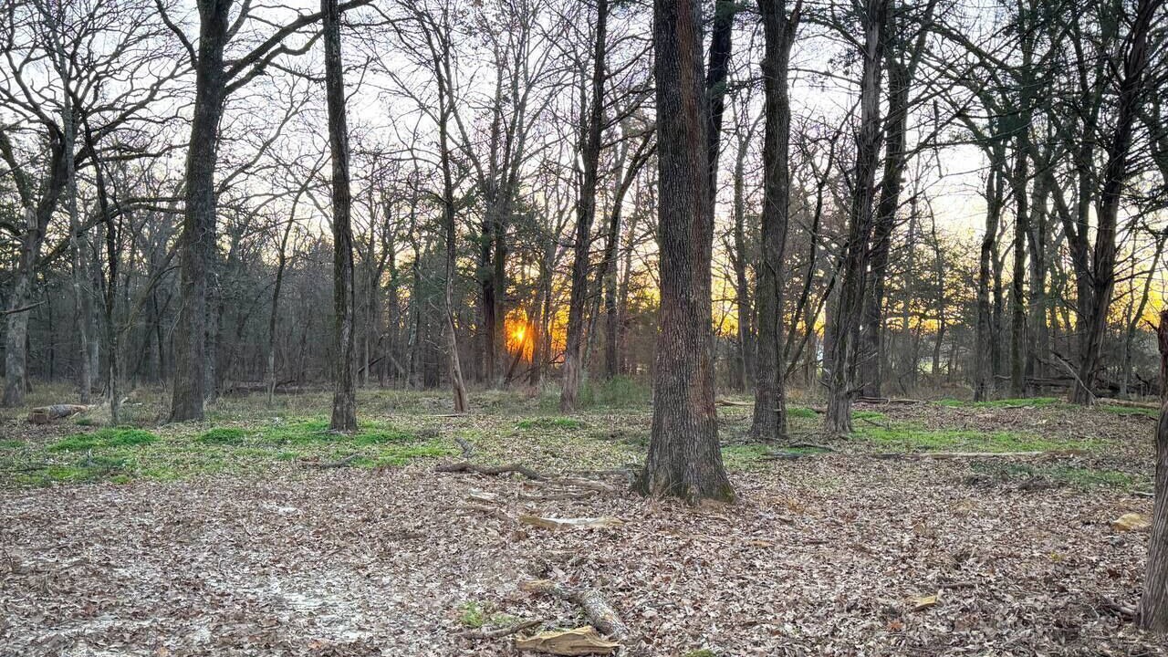 Photo of Others in Miller Grove