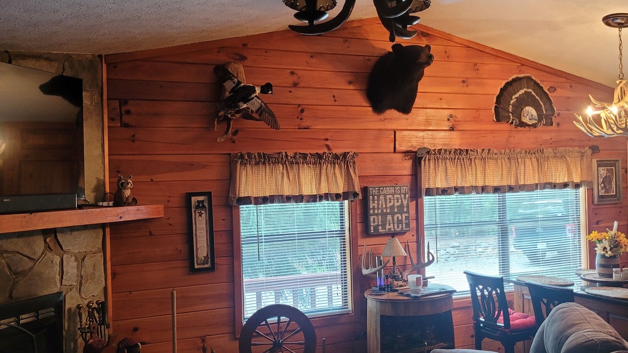 Photo of Livingroom in Unaka