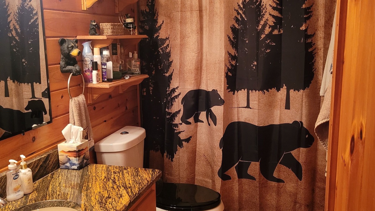 Photo of Bathroom in Unaka