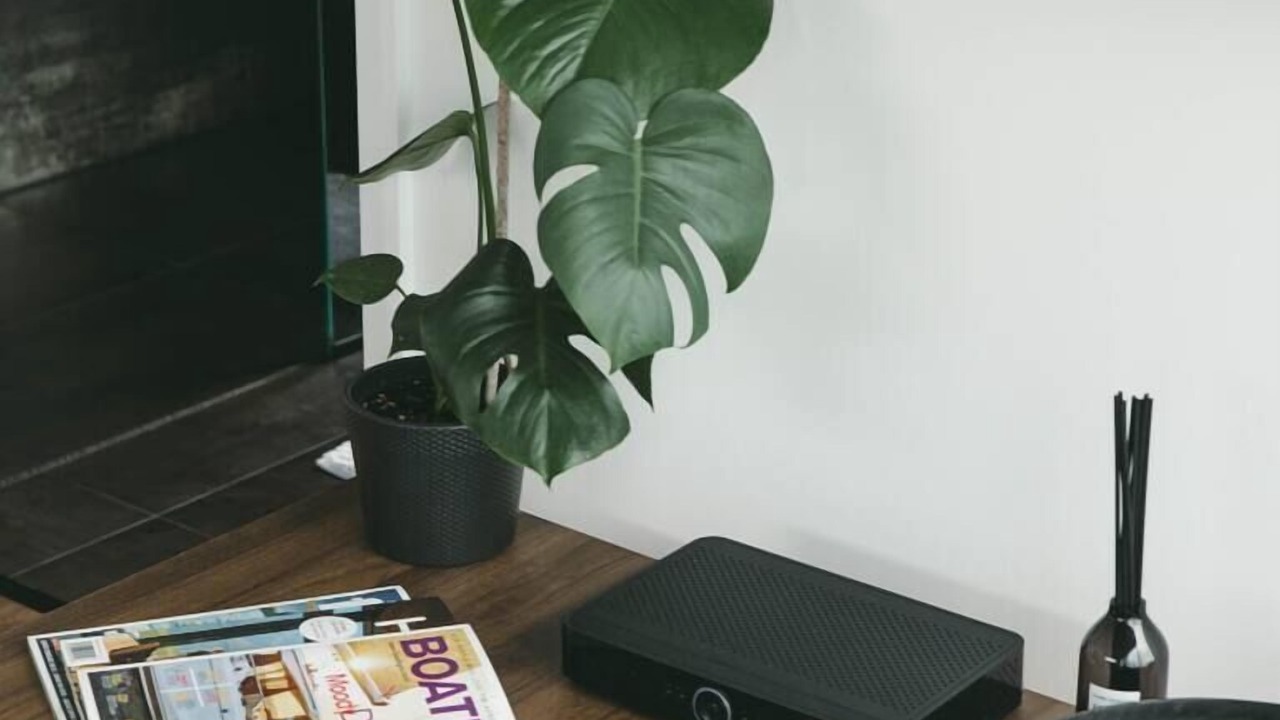 Photo of Others in Pouto