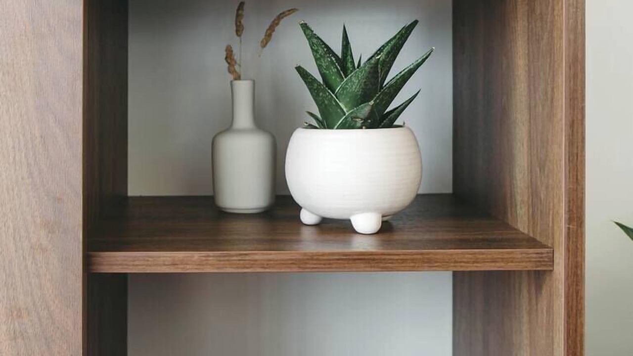 Photo of Others in Pouto