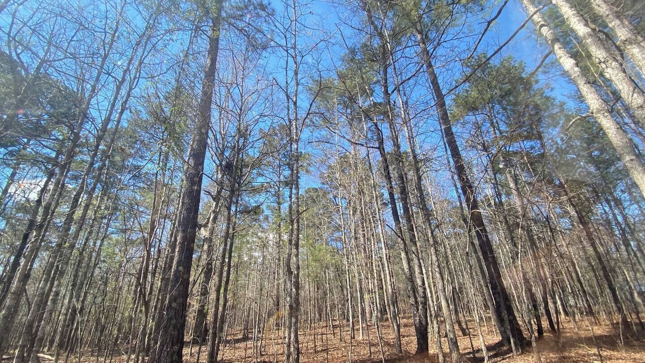 Photo of Others in Eatonton