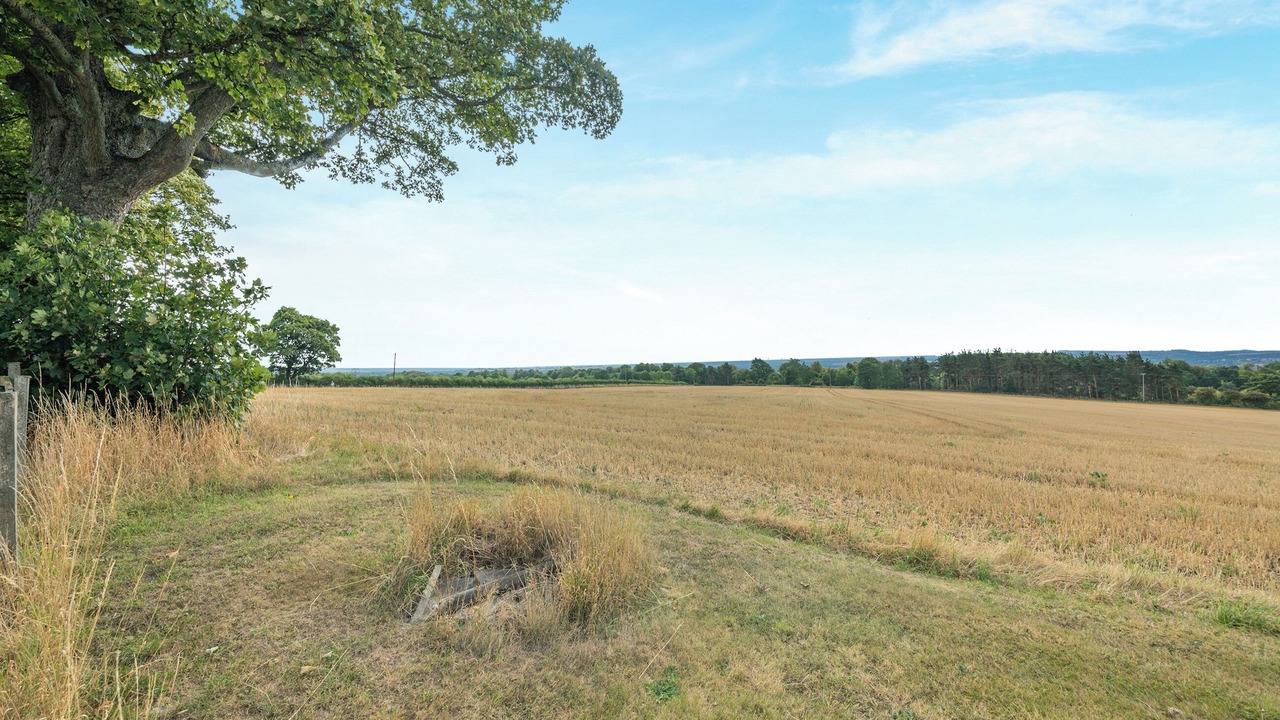 Photo of Others in Brancepeth