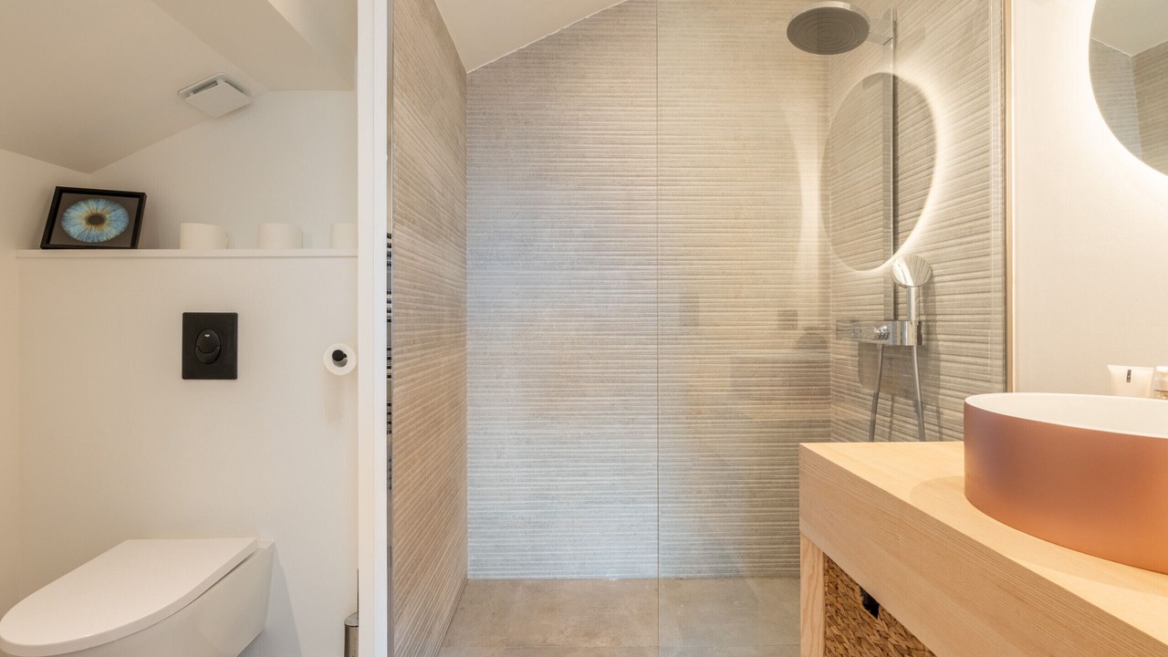 Photo of Others in Menthon-Saint-Bernard