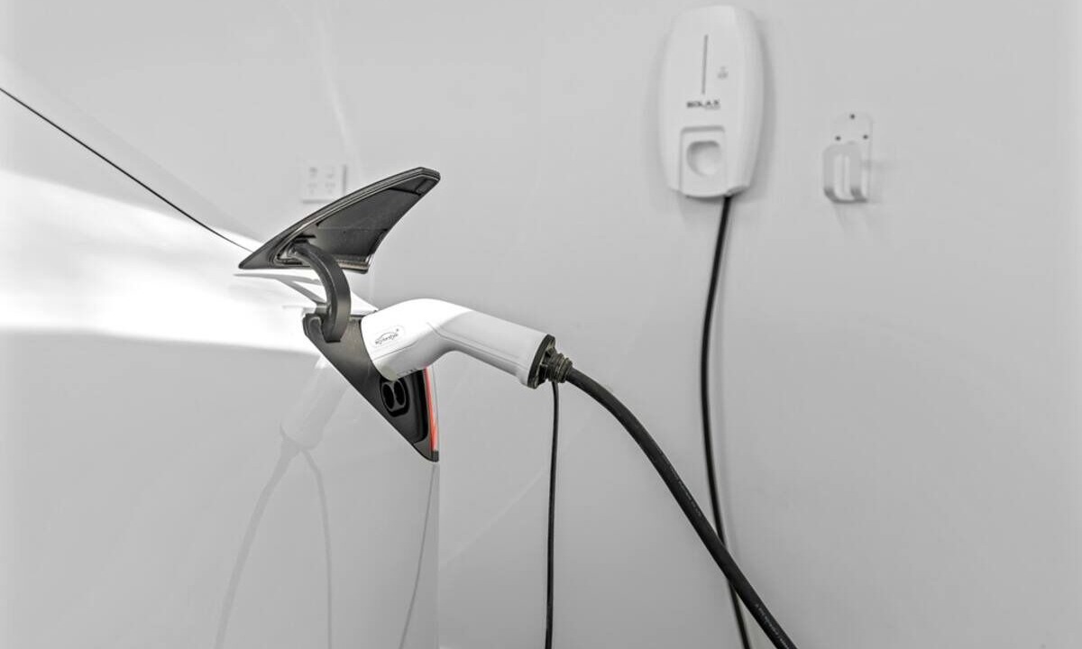 Photo of Others in Callala Bay