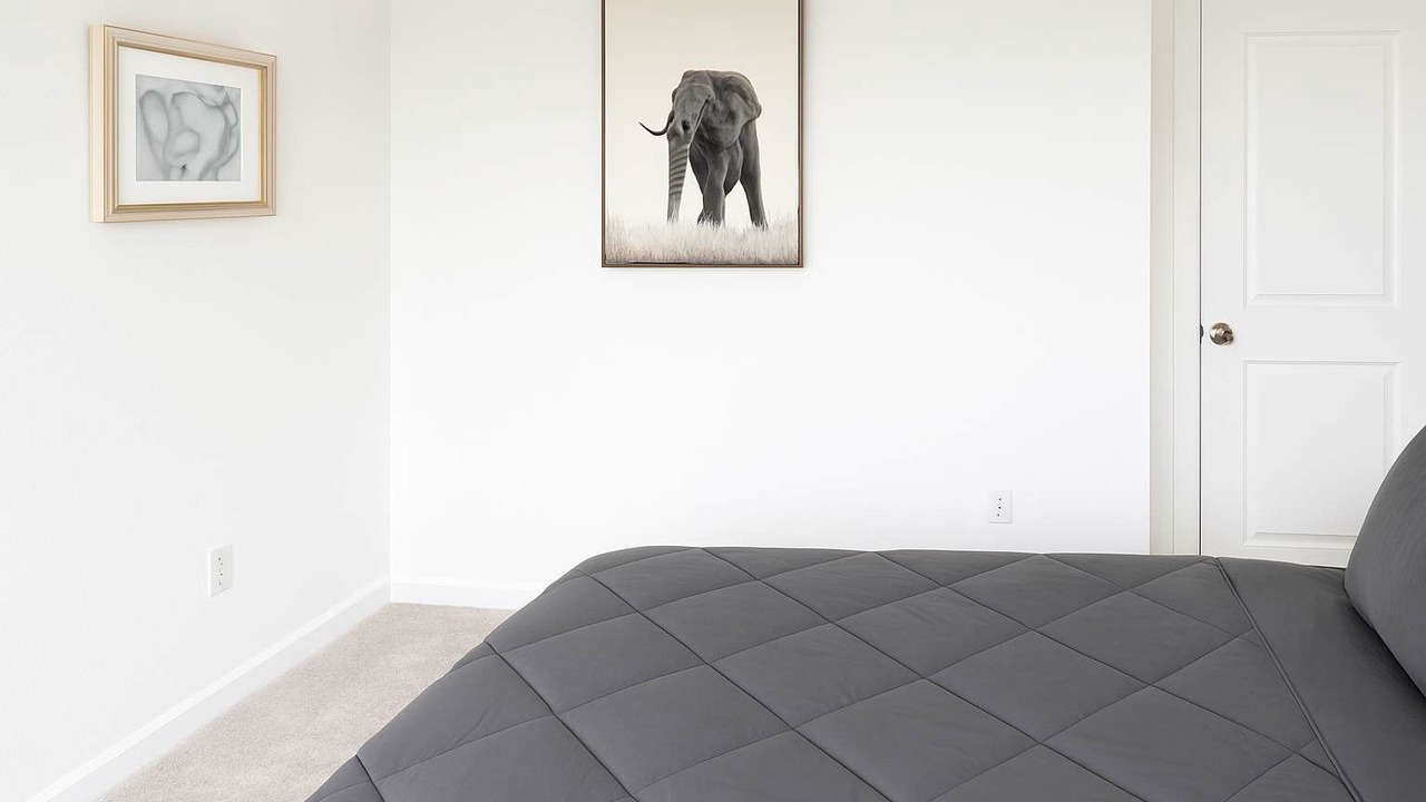 Photo of Bedroom in Montgomery County