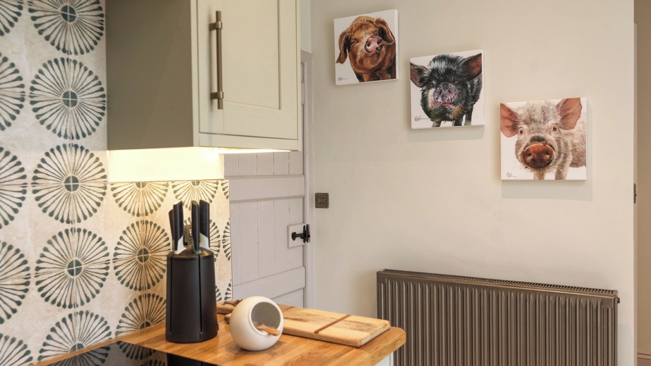 Photo of Others in New Forest District