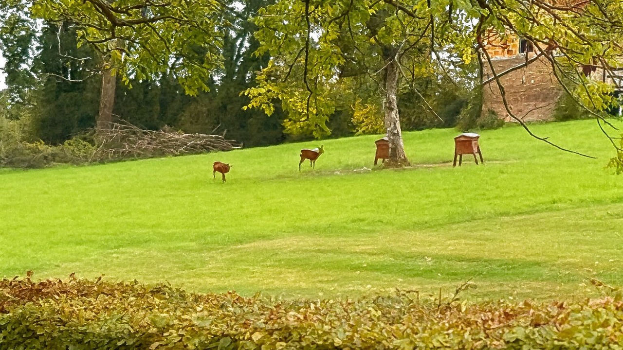 Photo of Outdoor in Les Champeaux