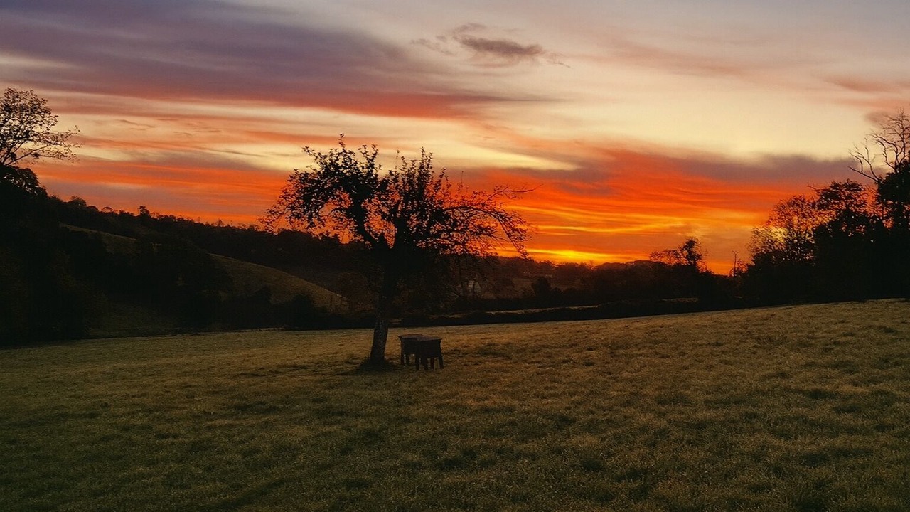 Photo of Others in Les Champeaux