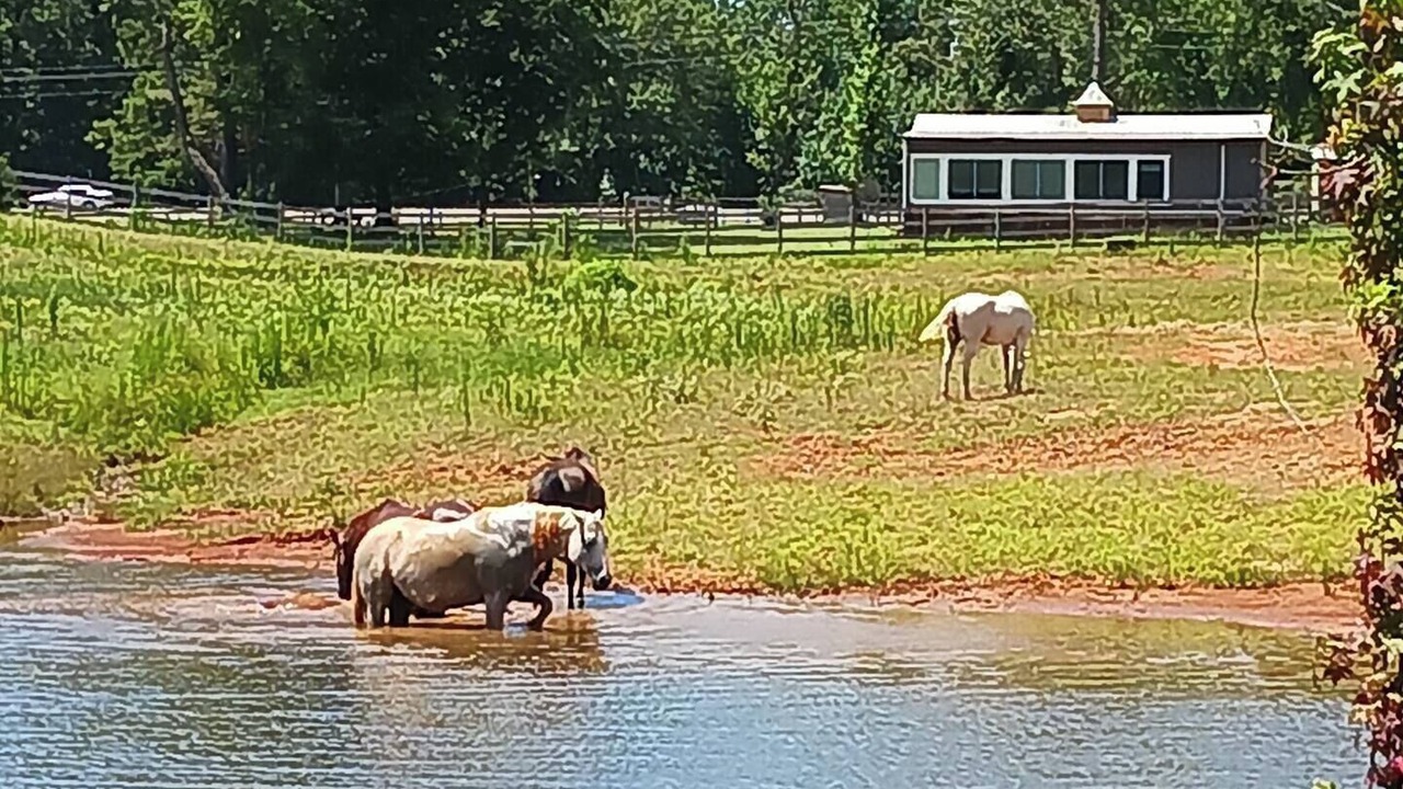 Photo of Others in Farmerville