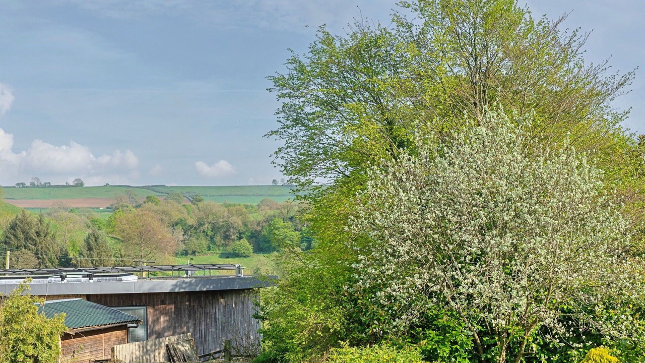 Photo of Others in Batcombe