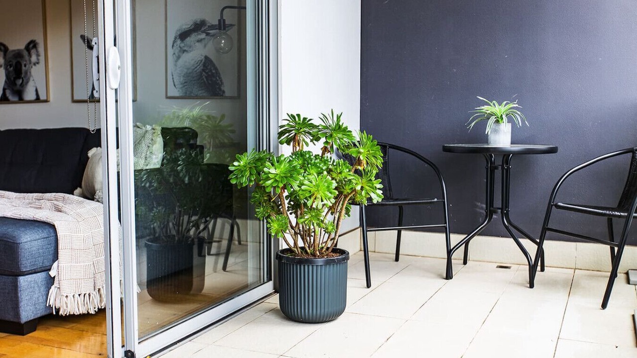 Photo of Others in Brunswick