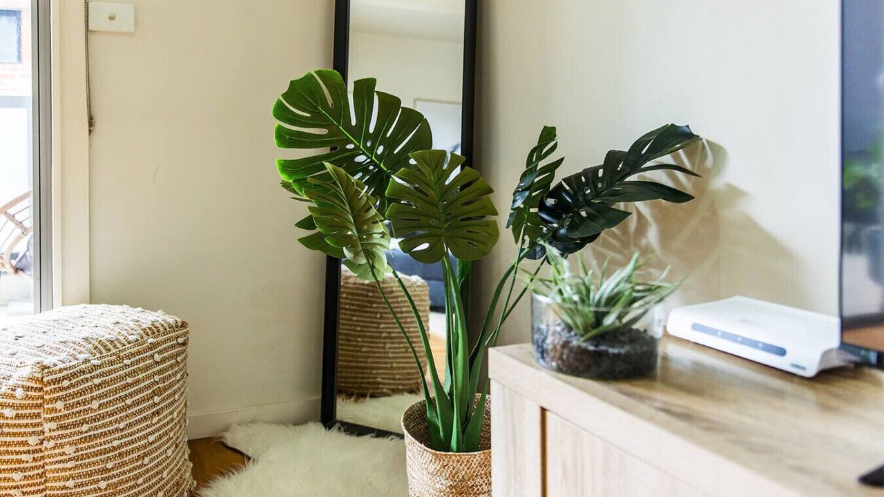 Photo of Others in Brunswick