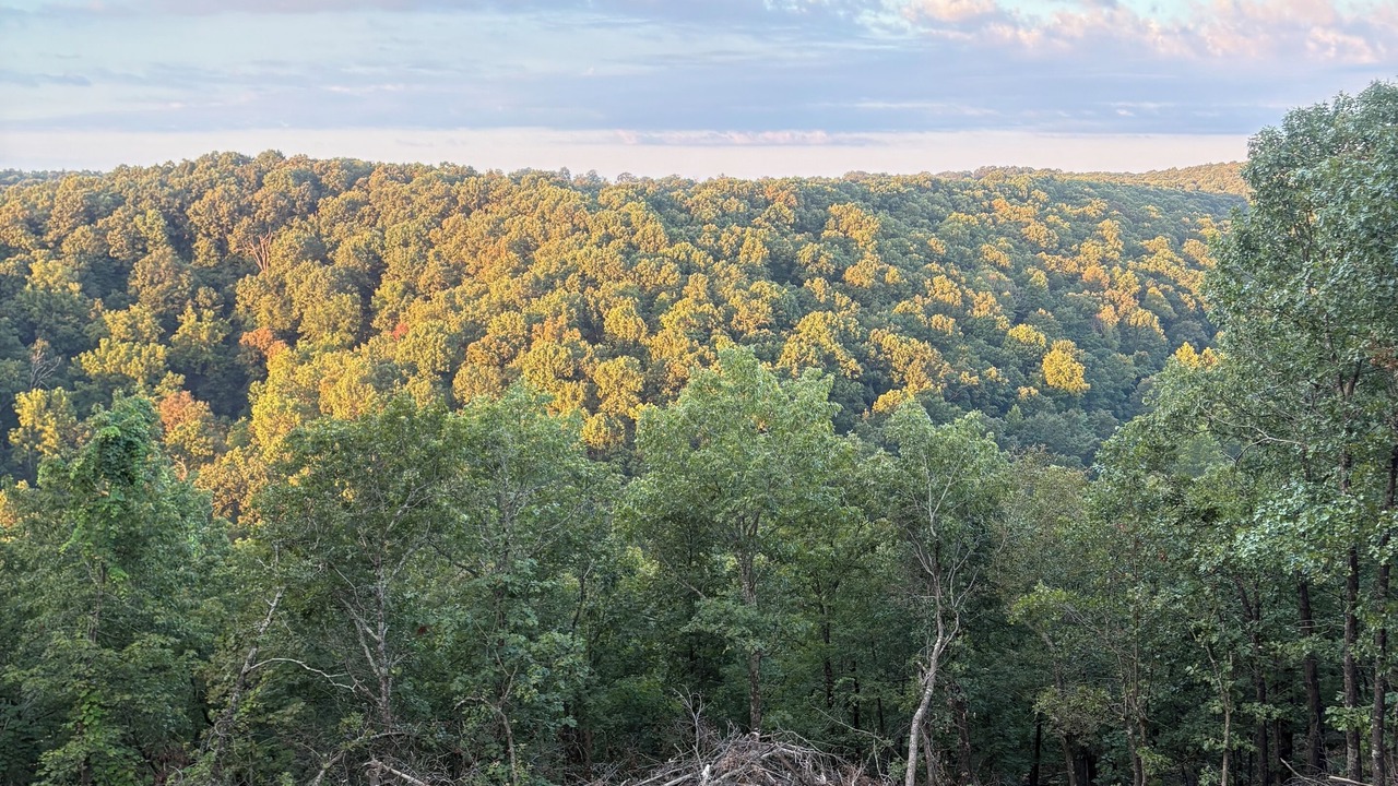 Photo of Outdoor in Harrison