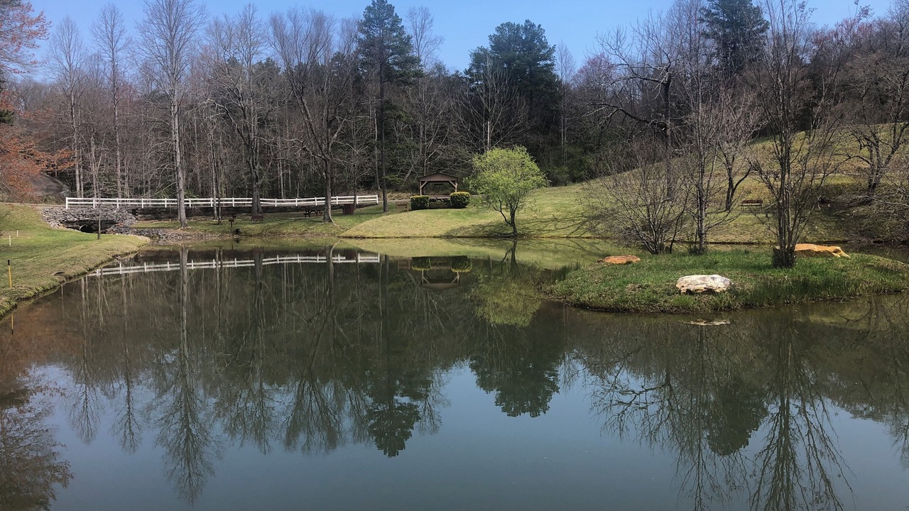 Photo of Others in Murphy