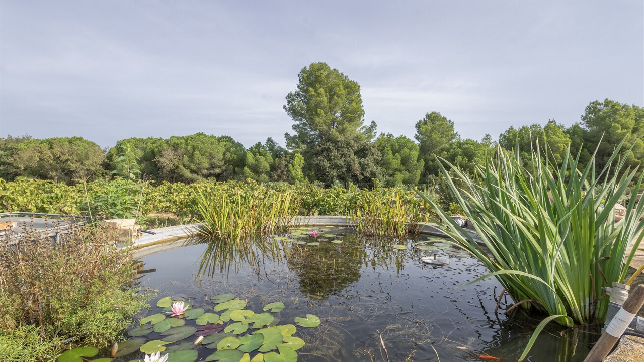 Photo of Outdoor in San Martin Sarroca