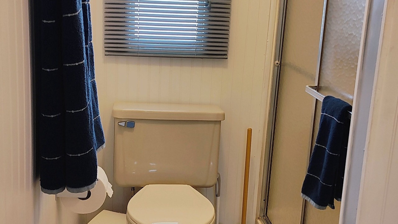 Photo of Bathroom in Oldsmar