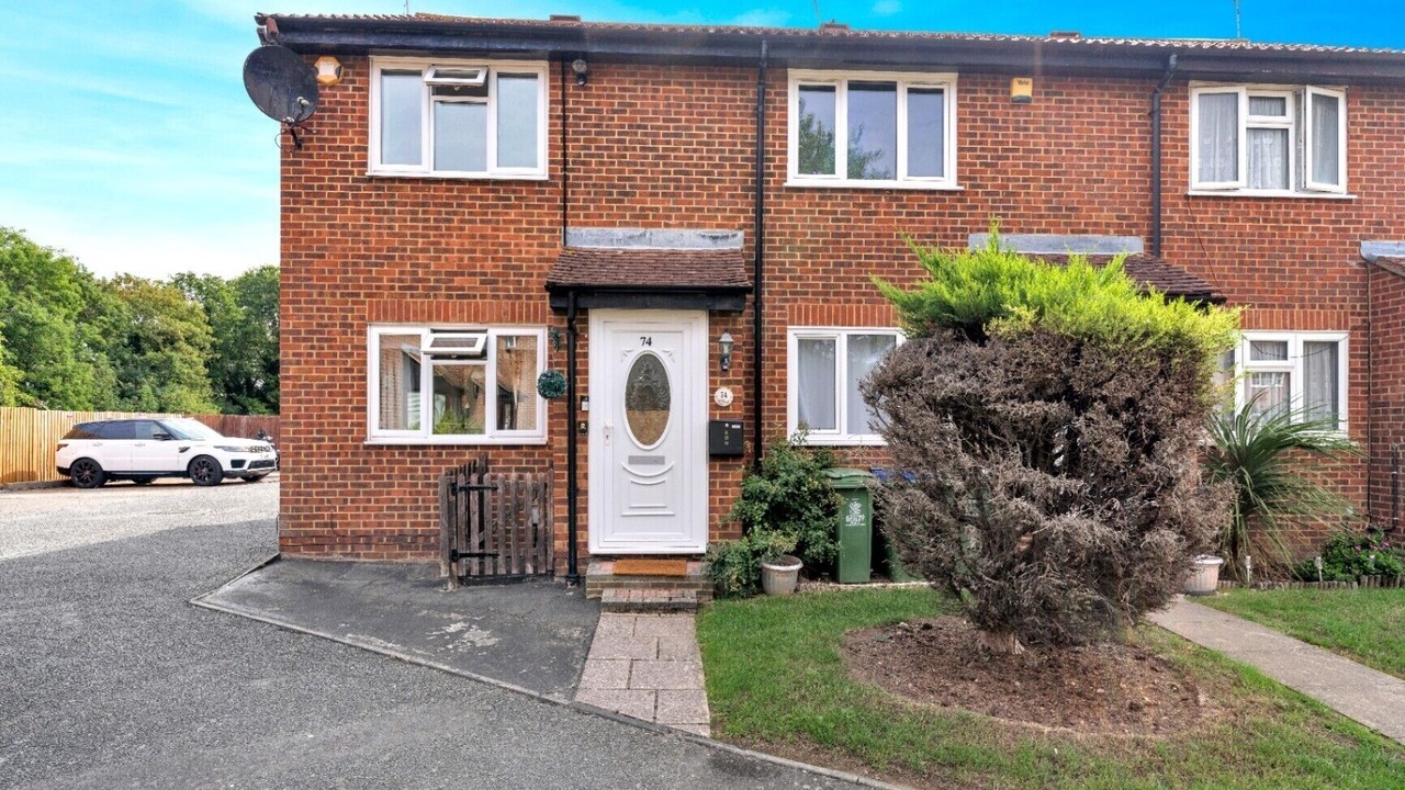 Photo of Others in Belvedere