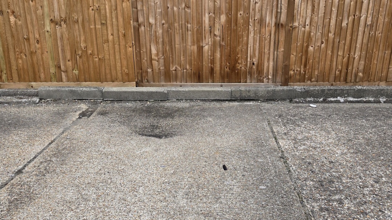 Photo of Others in Belvedere