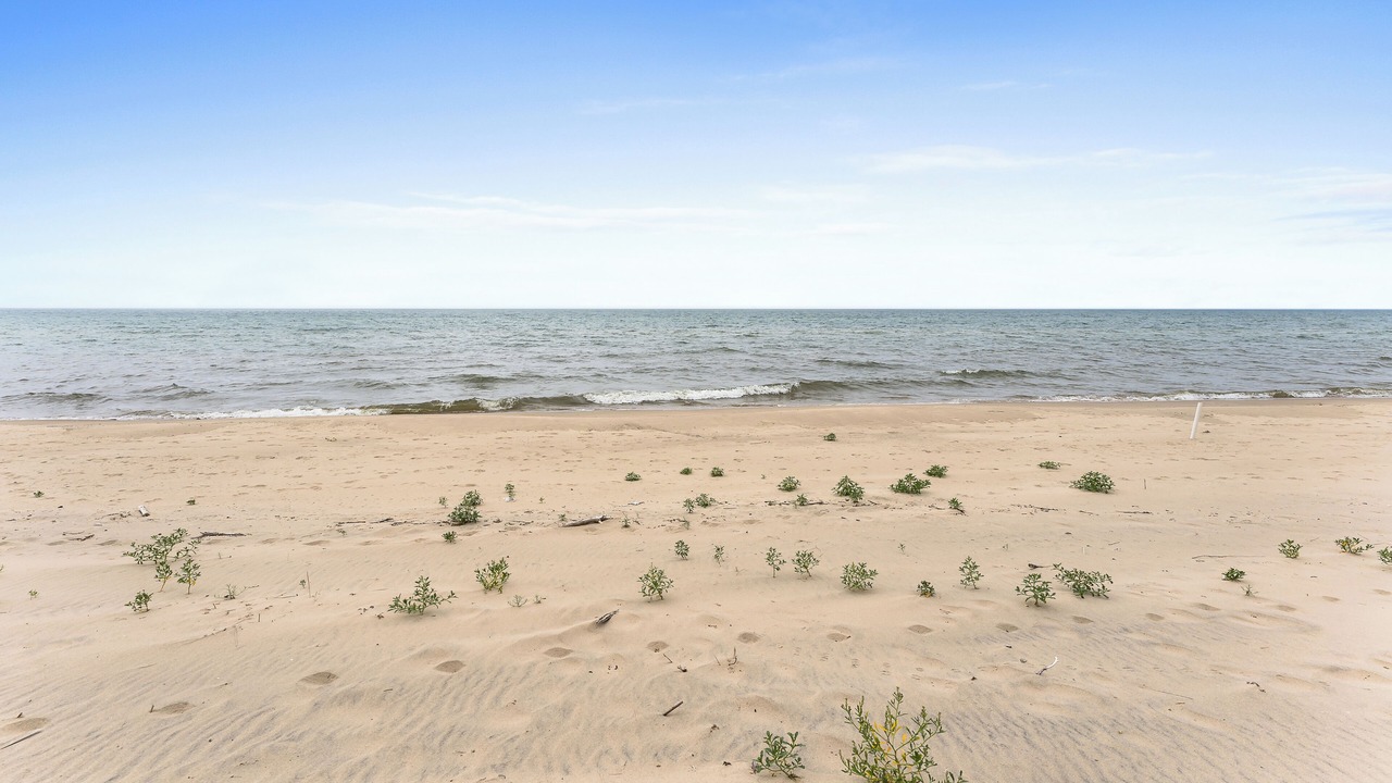 Photo of Others in West Olive