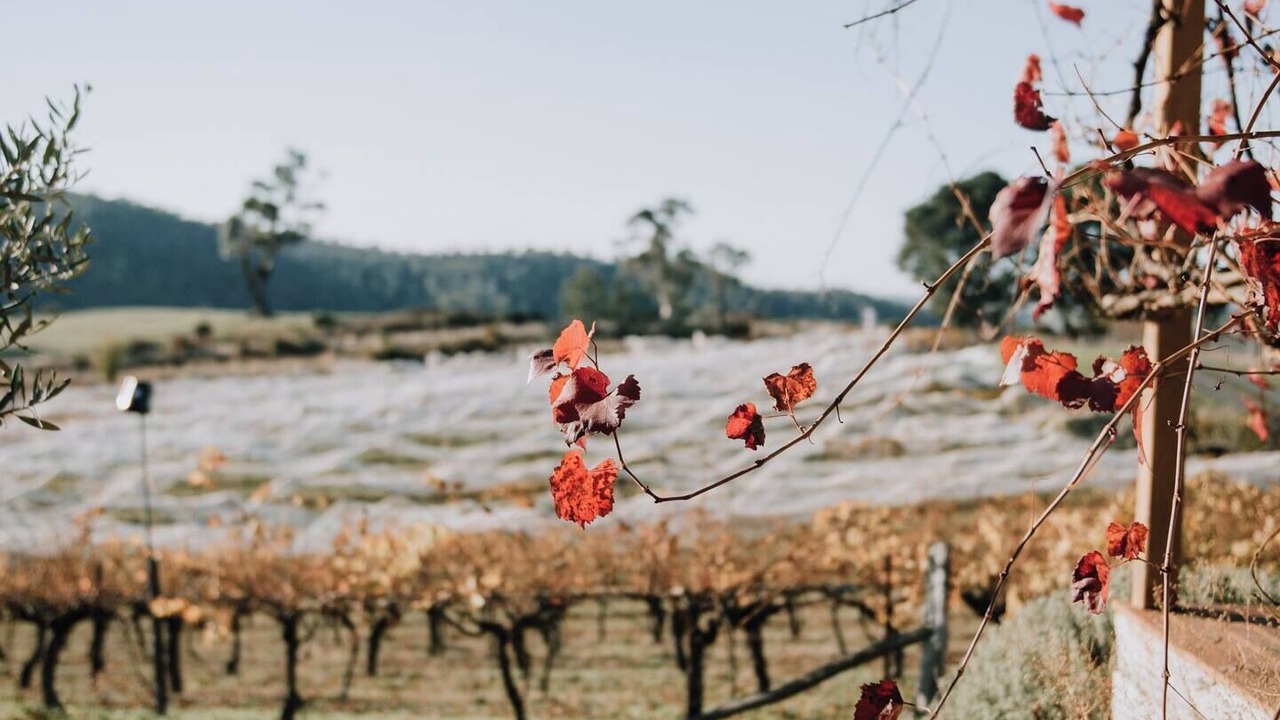 Photo of Others in Drummond North