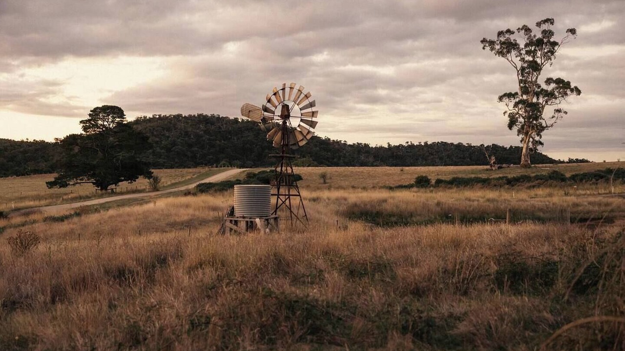 Photo of Others in Drummond North