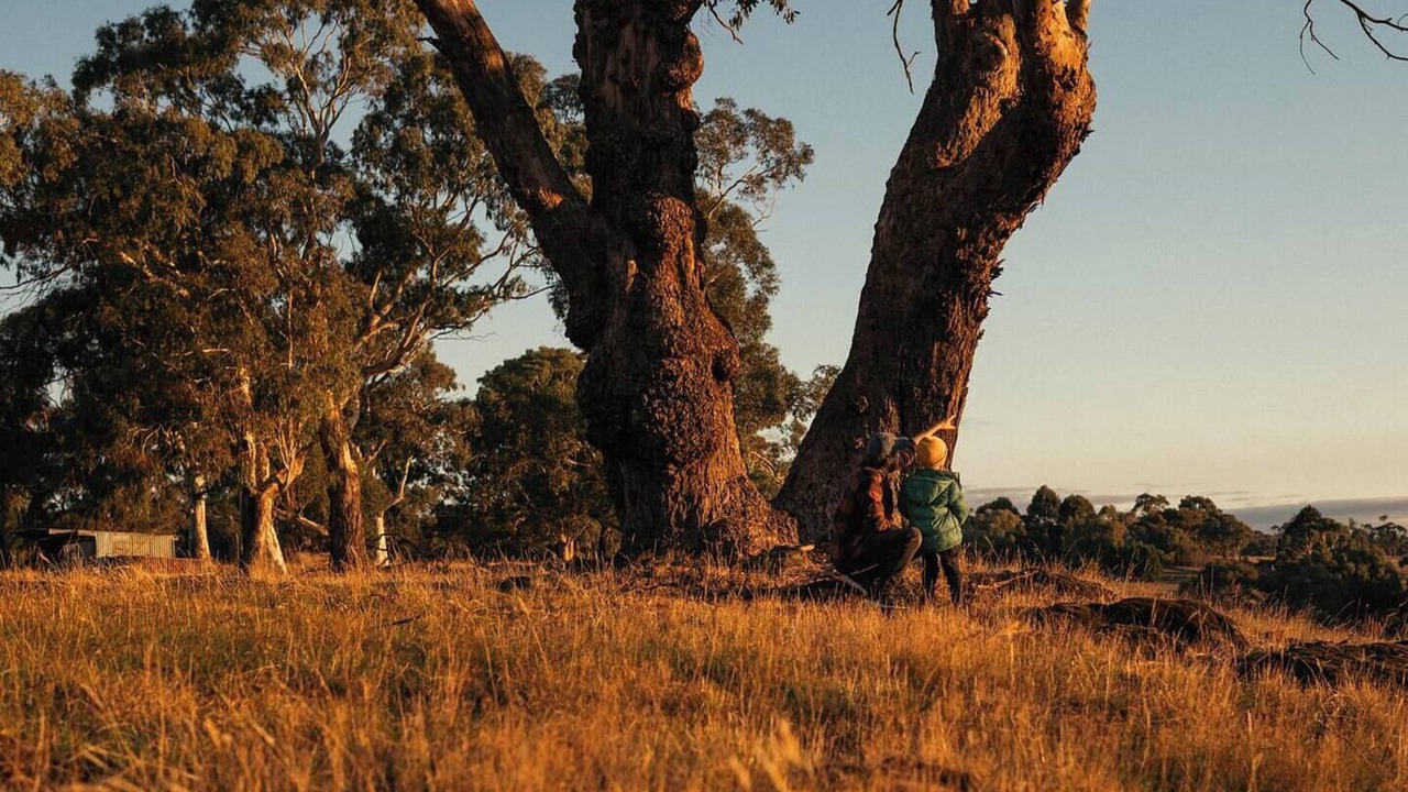 Photo of Others in Drummond North