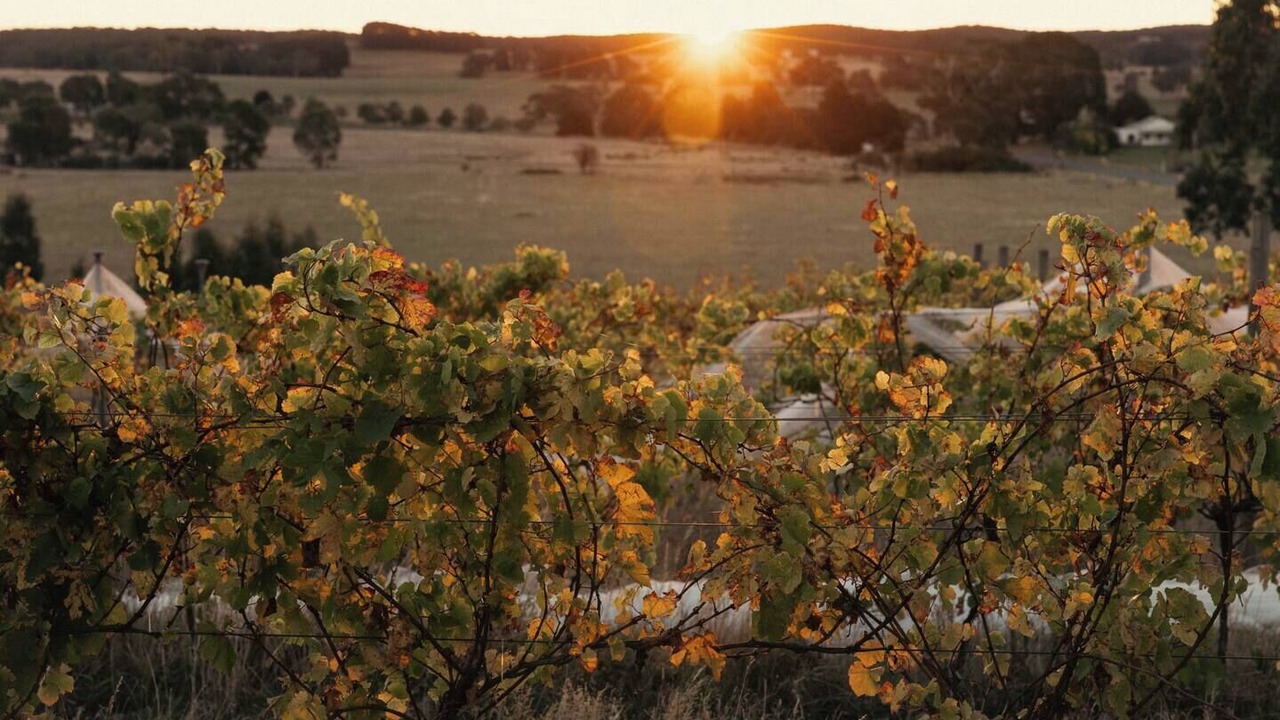 Photo of Others in Drummond North