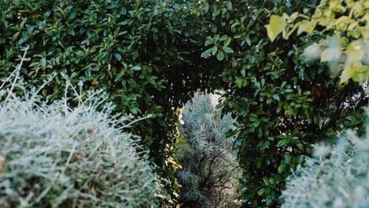 Photo of Others in Drummond North