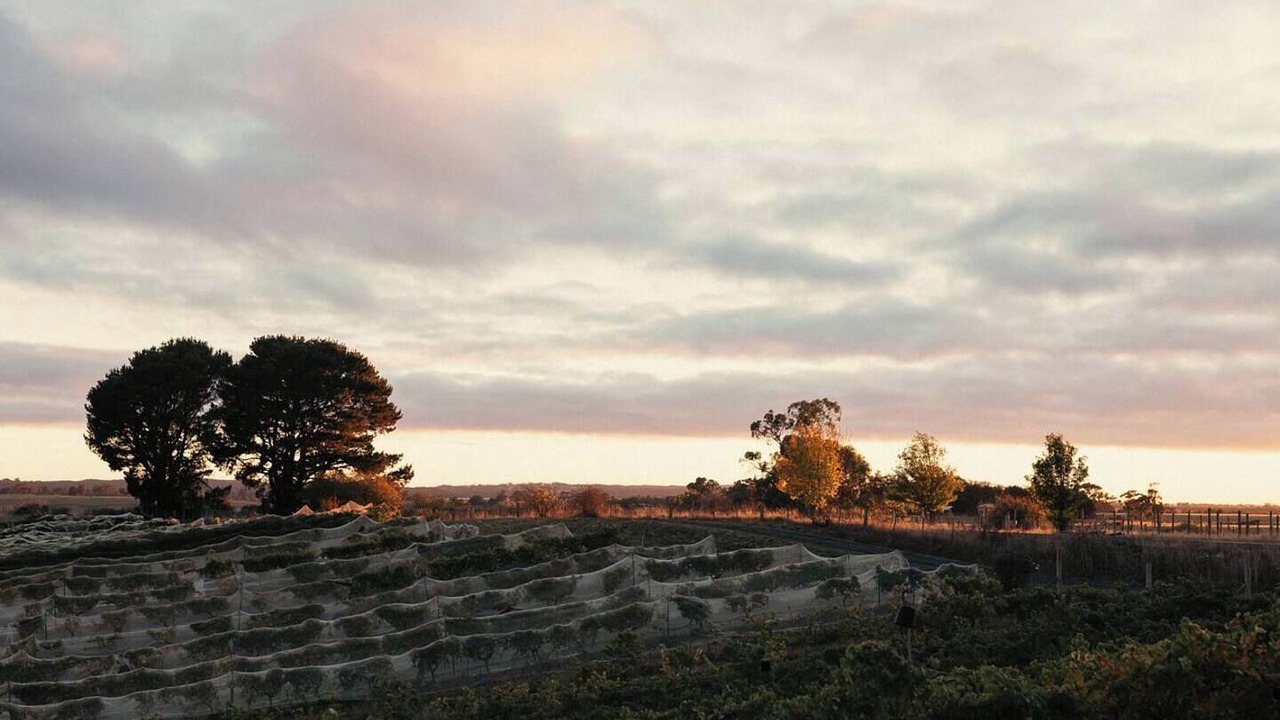 Photo of Others in Drummond North