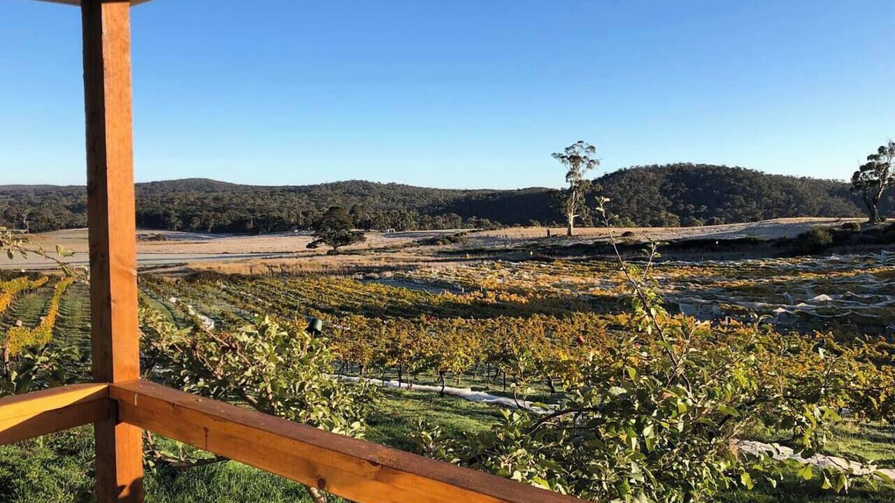 Photo of Others in Drummond North