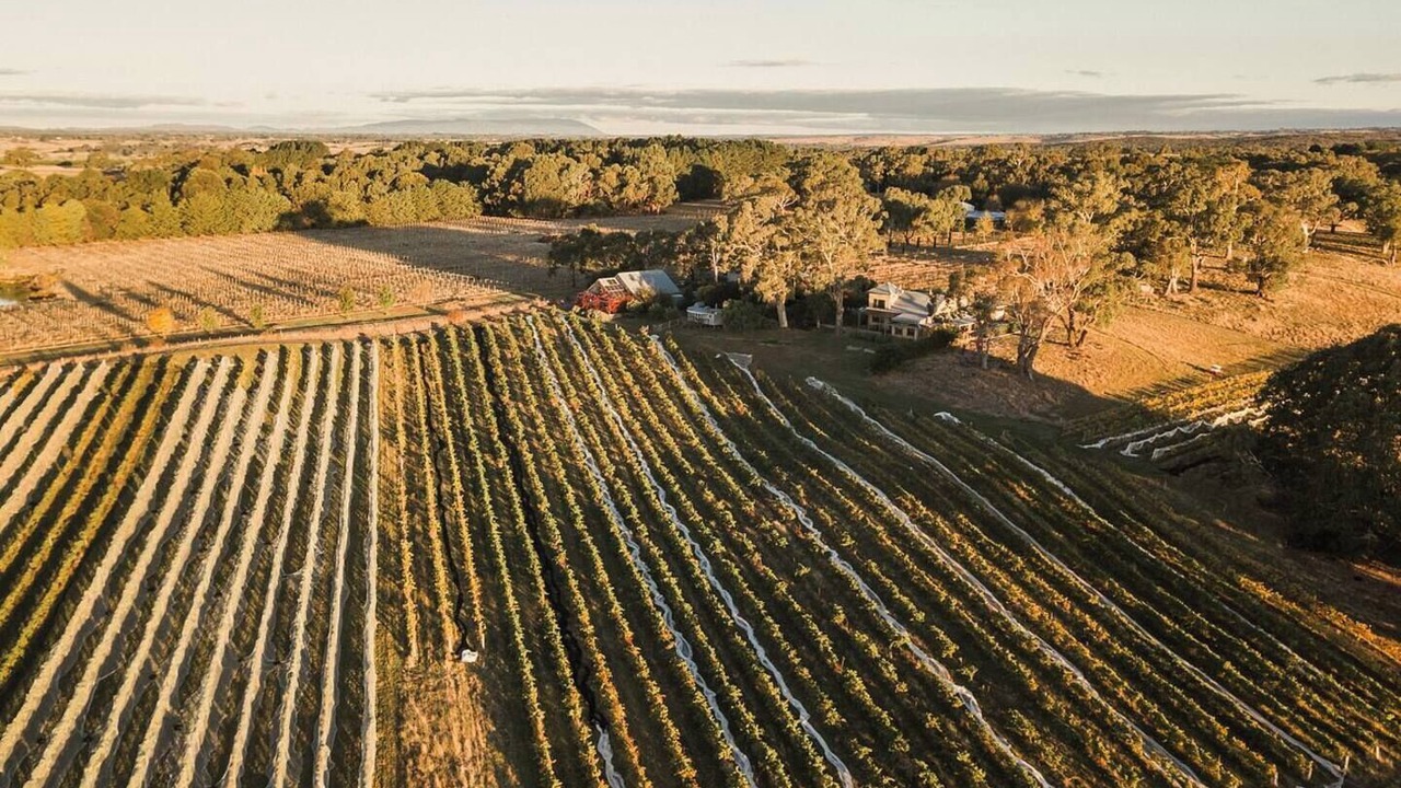 Photo of Others in Drummond North