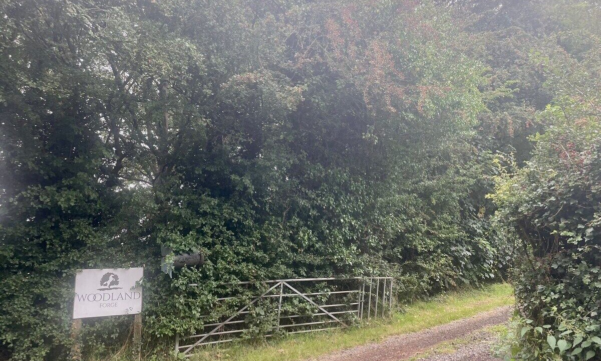 Photo of Others in Aston on Trent