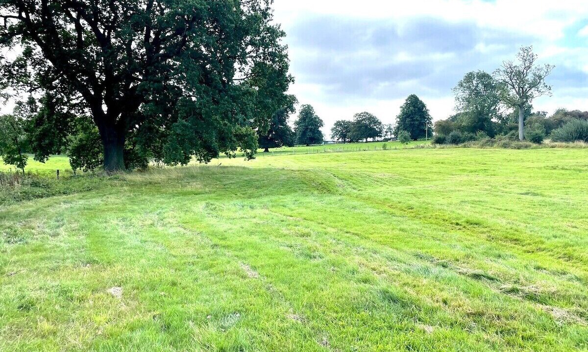 Photo of Others in Aston on Trent