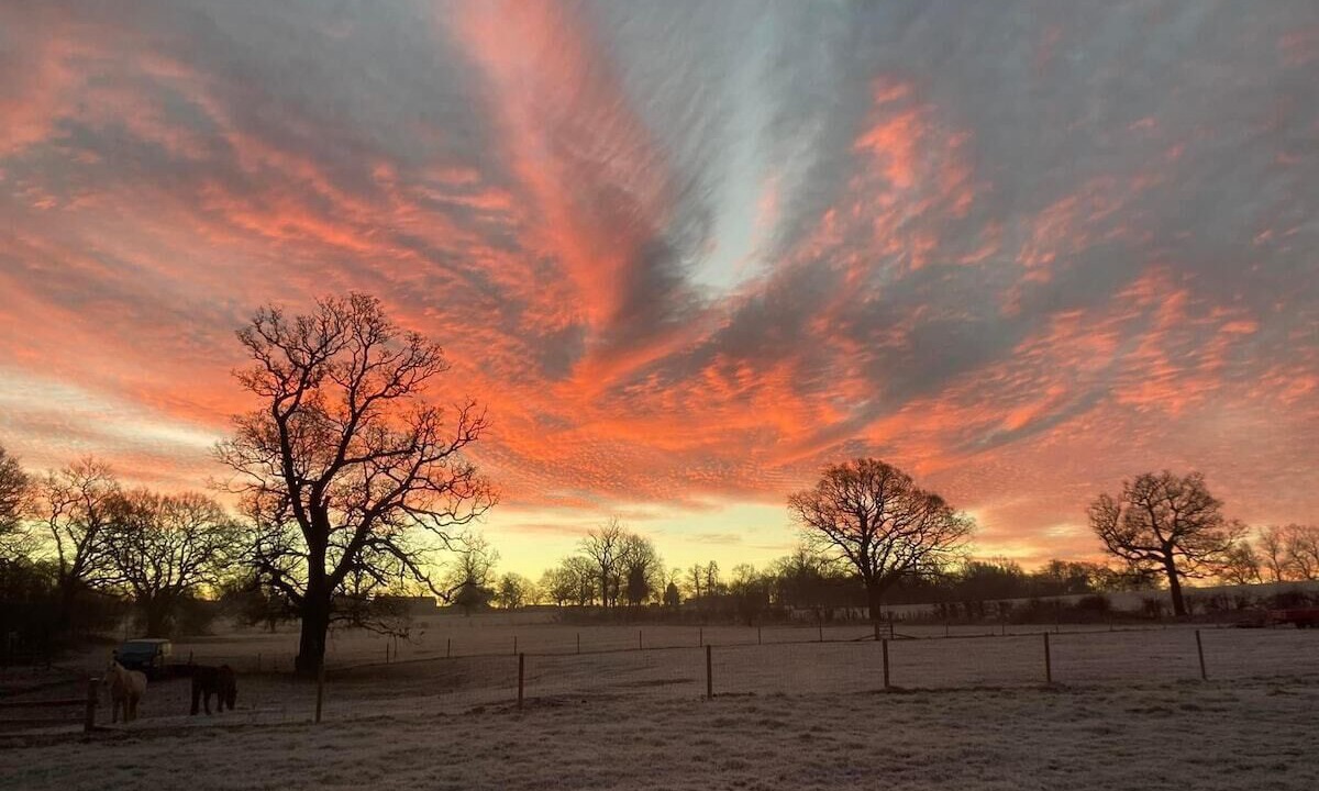 Photo of Others in Aston on Trent