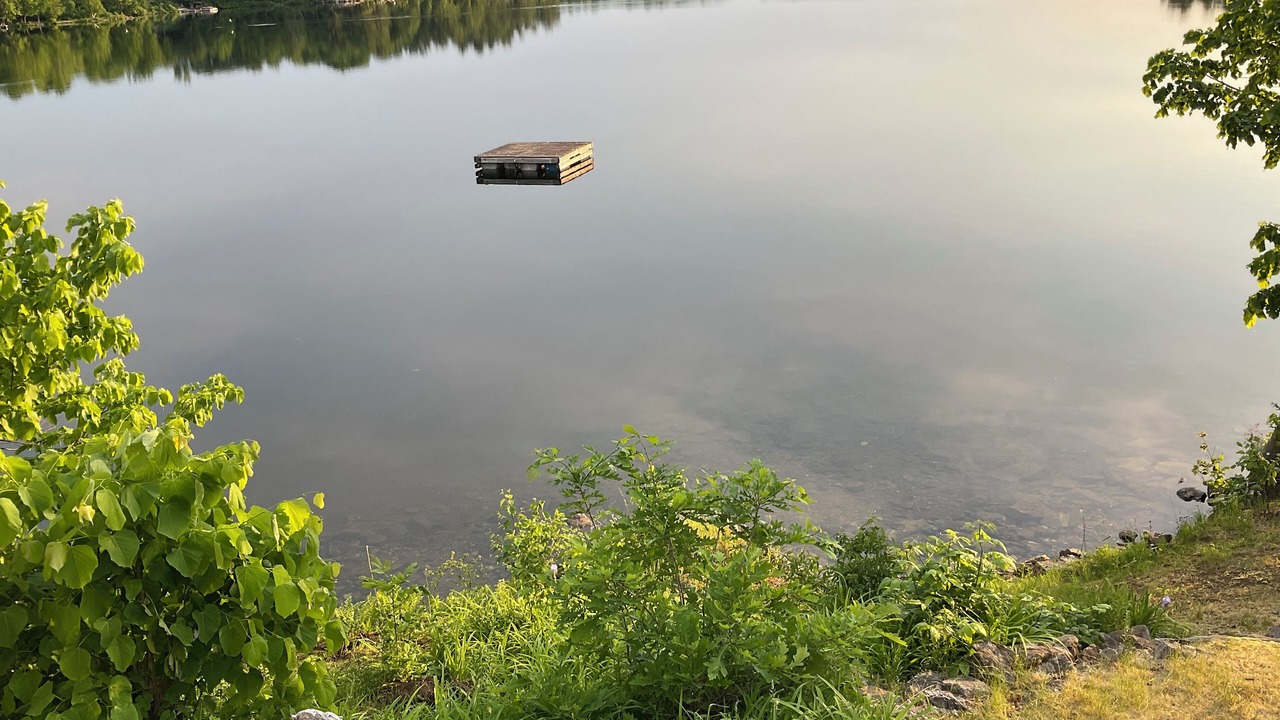 Photo of Others in Frontenac