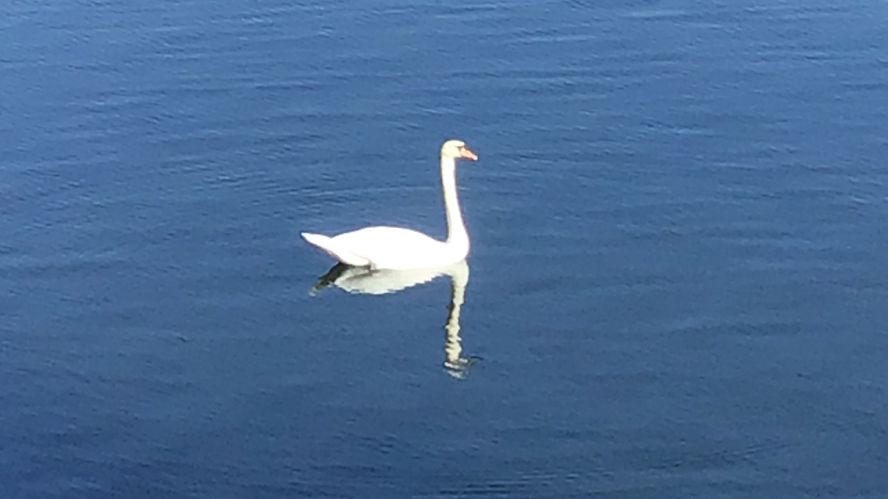 Photo of Others in Frontenac