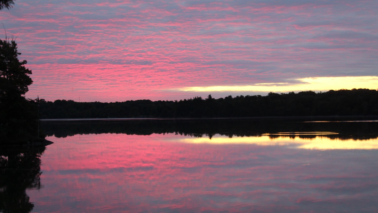 Photo of Others in Frontenac