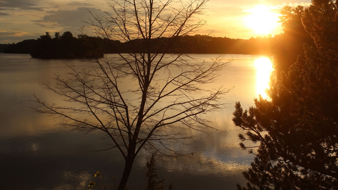 Photo of Others in Frontenac