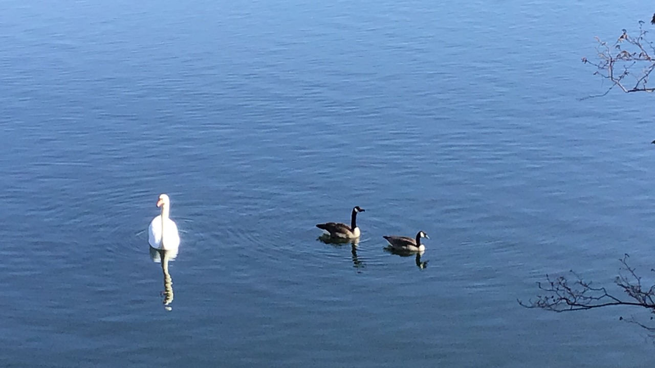 Photo of Others in Frontenac