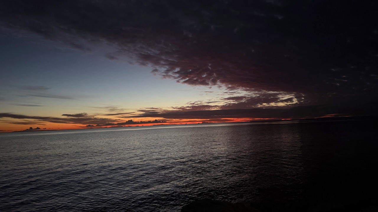 Photo of Others in Glenelg South