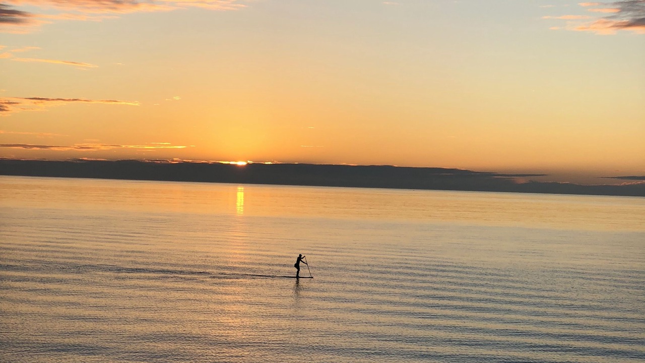 Photo of Others in Glenelg South