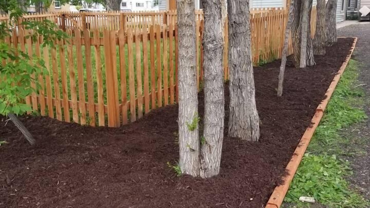 Photo of Others in Cheyenne