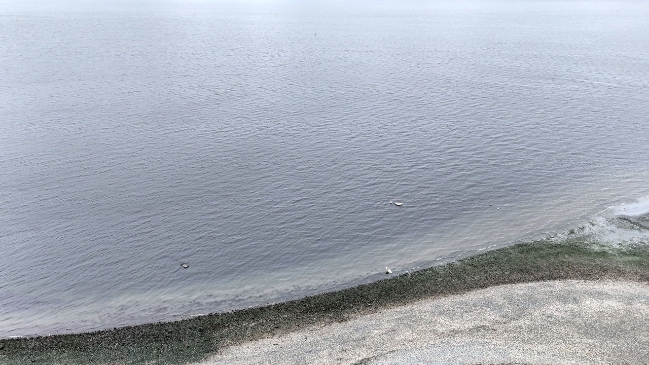 Photo of Others in Gatewood